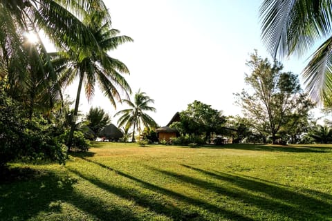 Property grounds
