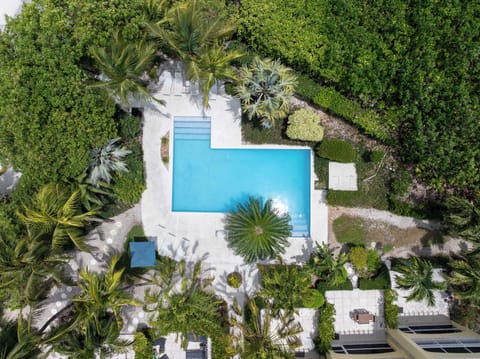 Take a refreshing dip in our beautiful shared pool surrounded by palms.
