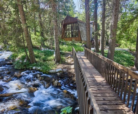 Wooden footbridge crosses a mountain stream, surrounded by tall trees and rushing water below