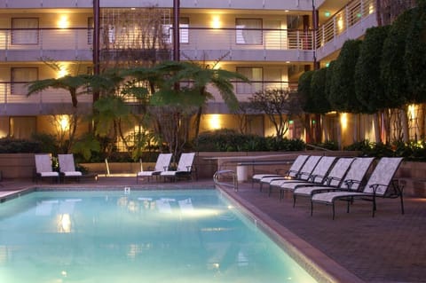 Lounge poolside in calm, sunlit comfort between city adventures.