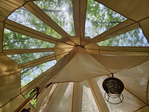 Star gazing by night, tree canopy by day — the skylight ceiling of our bell tent brings the outdoors in, beautifully.