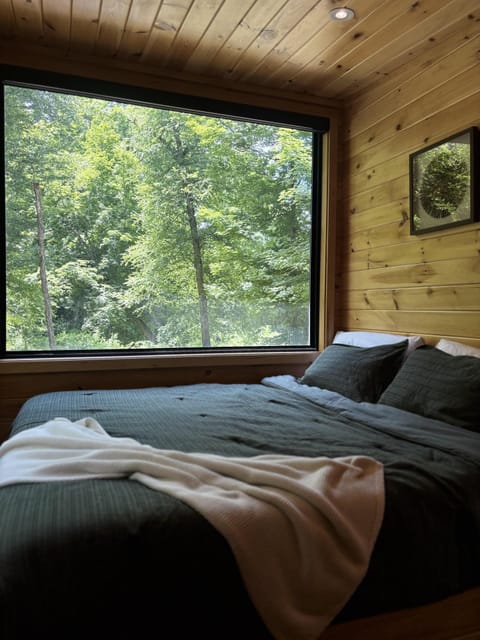 Studio Living & Sleeping Area