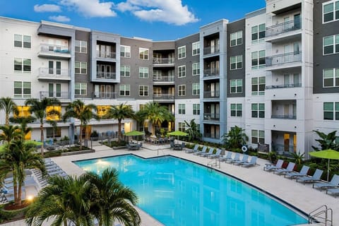 Resort-style pool surrounded by loungers, with the building & palm trees framing the view