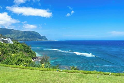 Sweeping Coastal Cliffs And Ocean Views