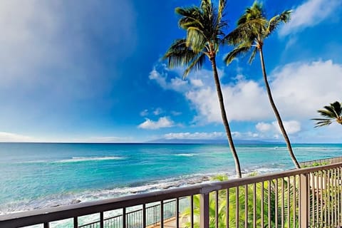 Palm Framed Ocean Views From Paradise