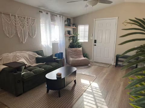 Living room with pullout sofa