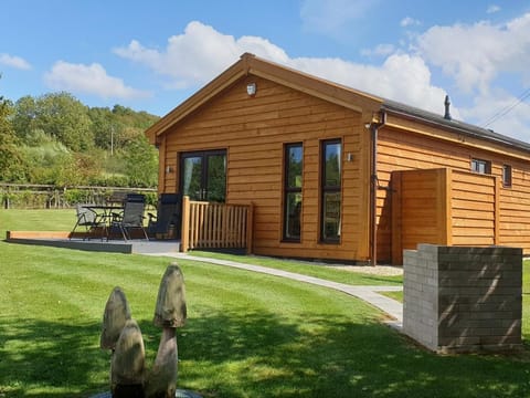 Stunning modern lodge property 