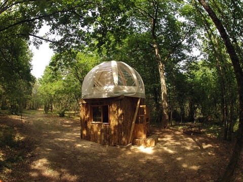 Wigwam perchée