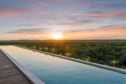 Rooftop Swimming Pool with Jungle View