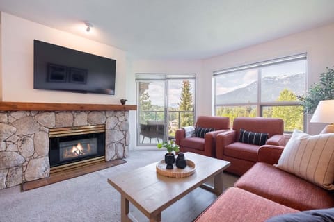 Living area: Pull out sofa