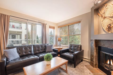 Living area: Gas fireplace