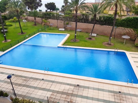 Swimming pool view