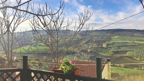 Mountain view