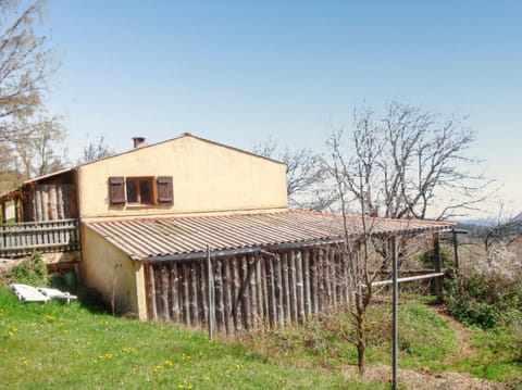 Back view
