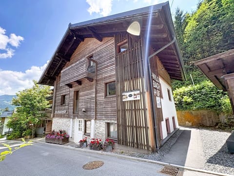 Door, Cottage, Siding, Slope, Balcony