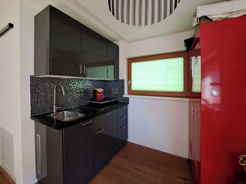 Kitchen, Interior Design, Wood, Countertop, Kitchen Appliance, Cabinetry, Flooring, Lighting, Major Appliance, Ceiling