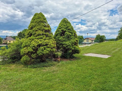 Leaf, Shrub, Garden, Groundcover, Woody Plant, Landscaping, Lawn, Botanical Garden, Evergreen