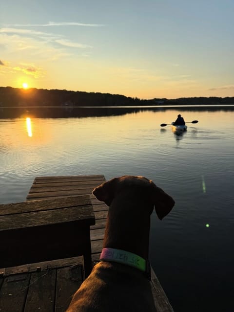 Paddle into sunset while your pup watches from the dock. 🌅🐾