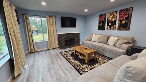 Living Room Area