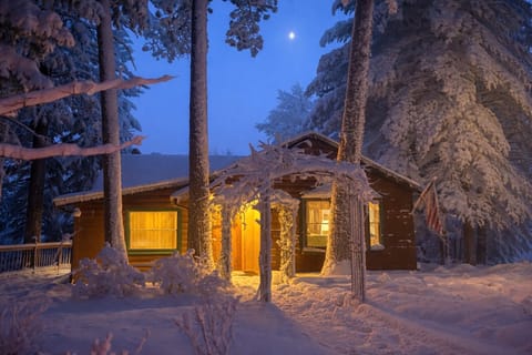 Winter house
