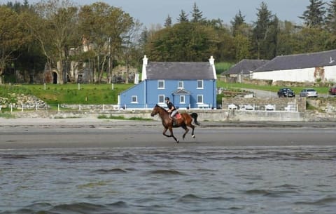 Lissadell on the Sea - Exterior