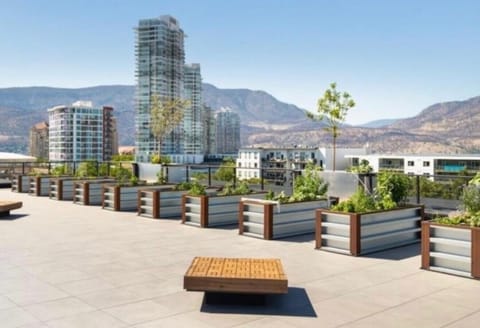 View from Rooftop