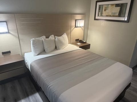 Bedroom. Interior and views may vary based on location and availability.