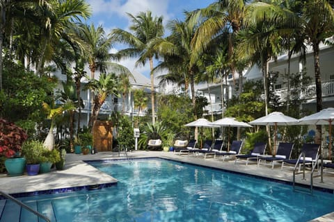 Dive into a tranquil courtyard pool surrounded by swaying palms.