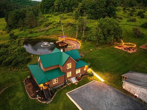 Aerial View of the Property