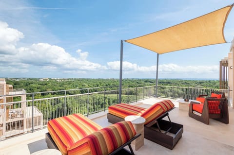 Terrace with views 