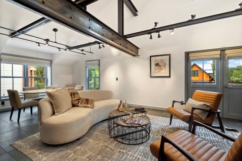 1.0_telluride_ore_light_loft_living_room