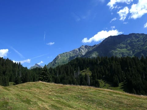 Sky, Mountain, Blue, Mountainous Landforms, Green, Nature, Natural Environment, Hill, Natural Landscape, Cloud