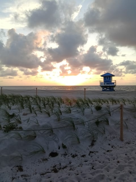 beach, summer, outdoor, body of water, beach visible, sunrise or sunset