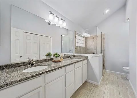 Primary en suite bathroom with oversize shower and walk in closet and bidet.