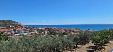 Blue, Daytime, Horizon, Coast, Sea, Coastal And Oceanic Landforms, Residential Area, Ocean, Shore, Beach