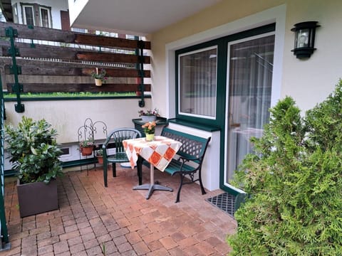 Plant, Furniture, Building, Table, Flowerpot, Houseplant, Chair, Window, Wood, Porch