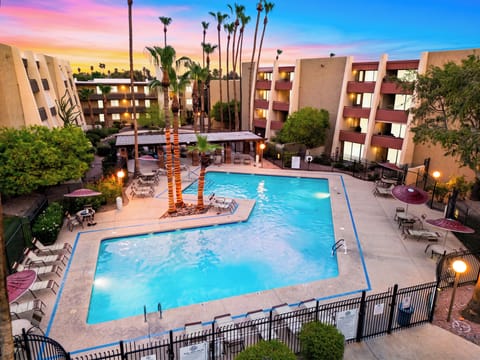 Resort-style community swimming pool surrounded by palm trees and complex grounds.