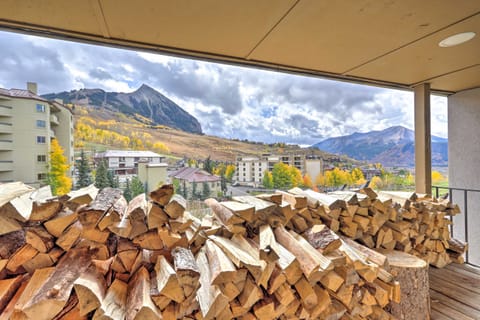 Patio View