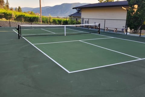 Our private pickleball court!