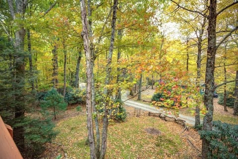 View of Street from Second Floor Deck