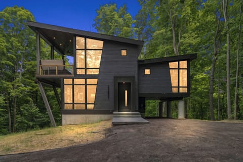 Striking modern forest retreat with floor-to-ceiling windows