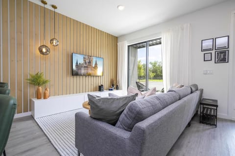 Living Room w/ Flat Screen TV
