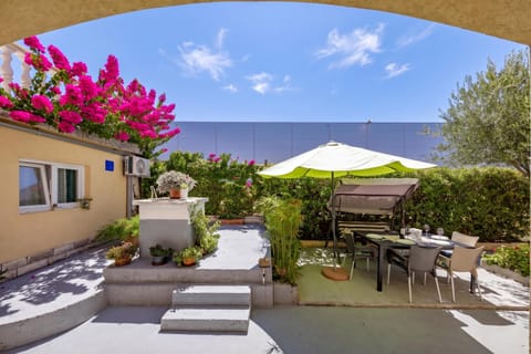 Shared Garden