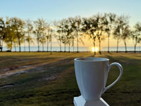 Coffee and the sunrise from the porch.