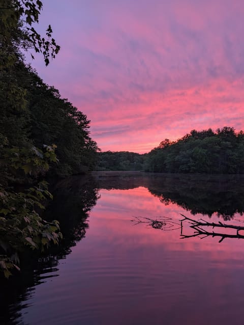 View from the dock. No AI or filters used.  Taken in March, 2026. 