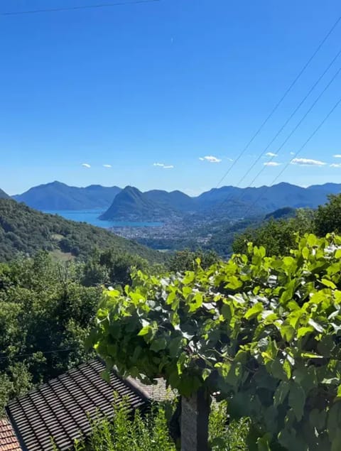 Lake view