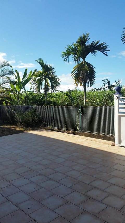 Areal view