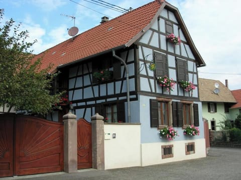 Front view