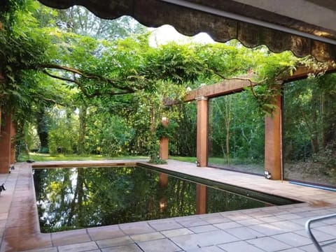 Swimming pool view
