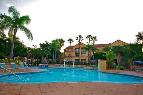 Cool off in clear blue water surrounded by swaying palm trees.